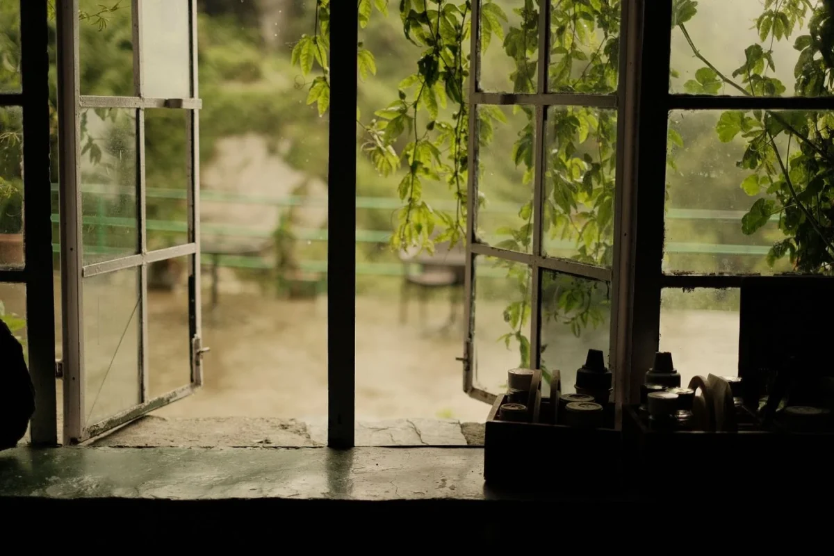 Portas de vidro abertas com vista para plantas do lado de fora